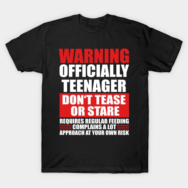 Warning Officially Teenager T-Shirt by funkyteesfunny